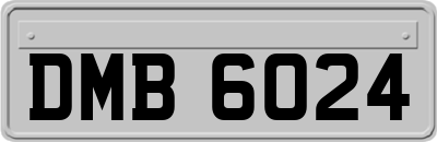 DMB6024