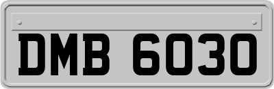 DMB6030