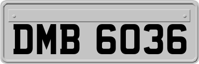 DMB6036