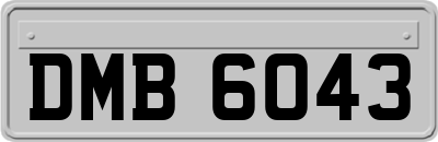 DMB6043