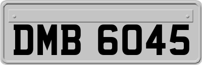 DMB6045