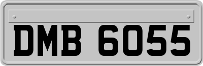 DMB6055