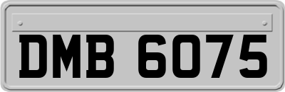 DMB6075