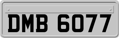 DMB6077