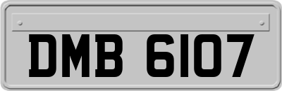 DMB6107