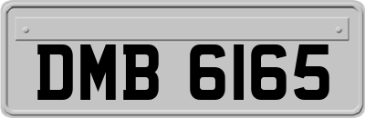 DMB6165