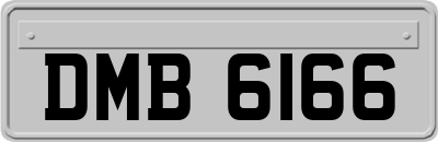 DMB6166