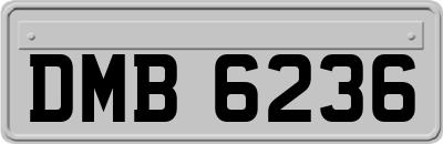 DMB6236