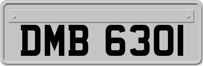 DMB6301