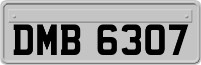 DMB6307