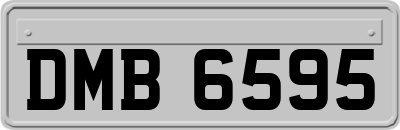 DMB6595