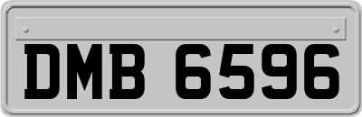 DMB6596