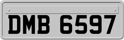 DMB6597