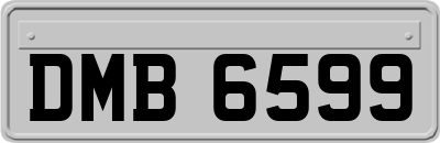 DMB6599