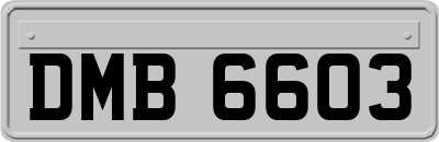 DMB6603