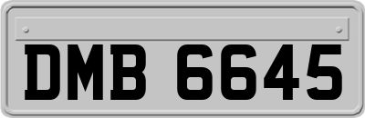 DMB6645