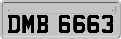 DMB6663