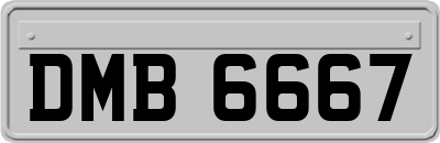 DMB6667