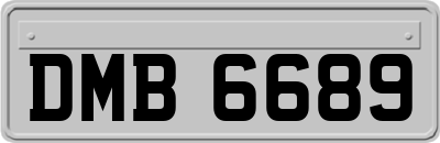 DMB6689