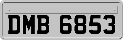 DMB6853