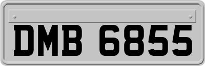 DMB6855