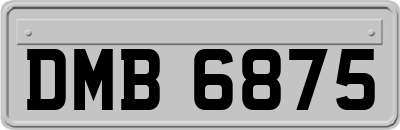 DMB6875