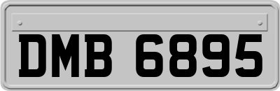 DMB6895