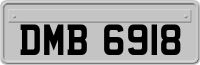 DMB6918