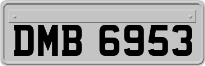 DMB6953