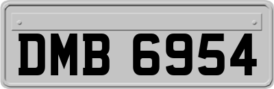 DMB6954