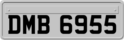 DMB6955