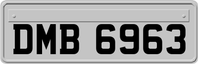 DMB6963