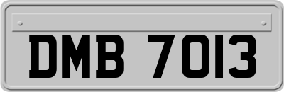 DMB7013