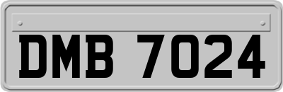 DMB7024