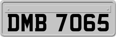 DMB7065