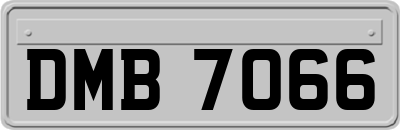 DMB7066