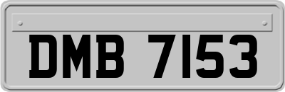 DMB7153