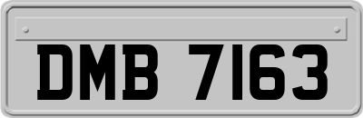 DMB7163
