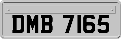 DMB7165