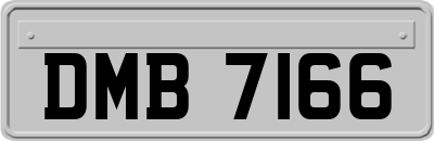 DMB7166