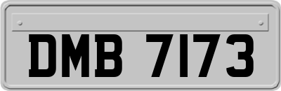 DMB7173