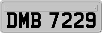 DMB7229