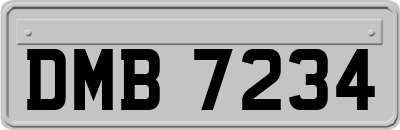 DMB7234