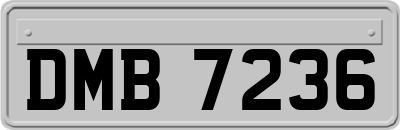 DMB7236
