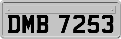DMB7253