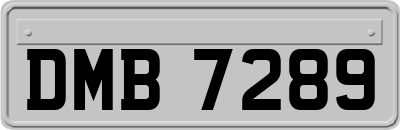 DMB7289