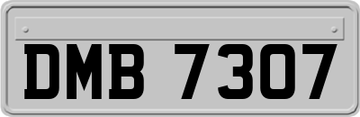 DMB7307
