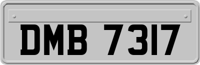 DMB7317