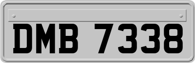 DMB7338