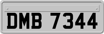 DMB7344